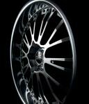 Botticelli III (chrystal titanium)