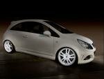 Rally (white)