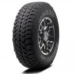 Roadstone Roadian MT